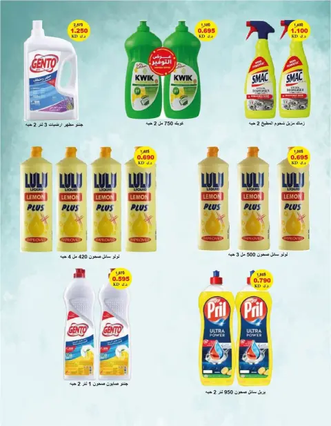 Al Surra coop Kuwait Offers from 10 to 16 December 2025 Central Market Festival Offers - Page 3