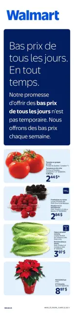 Walmart Canada Offers from 11 to 17 December 2025 Exclusive bargains - Page 2