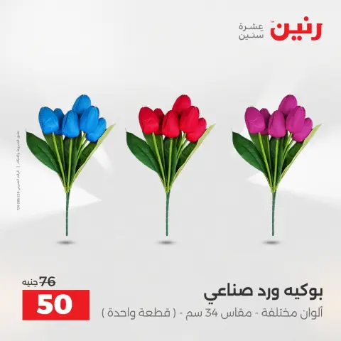 Raneen Egypt Offers from 14 to 15 December 2025 Decorative pieces offers - Page 43