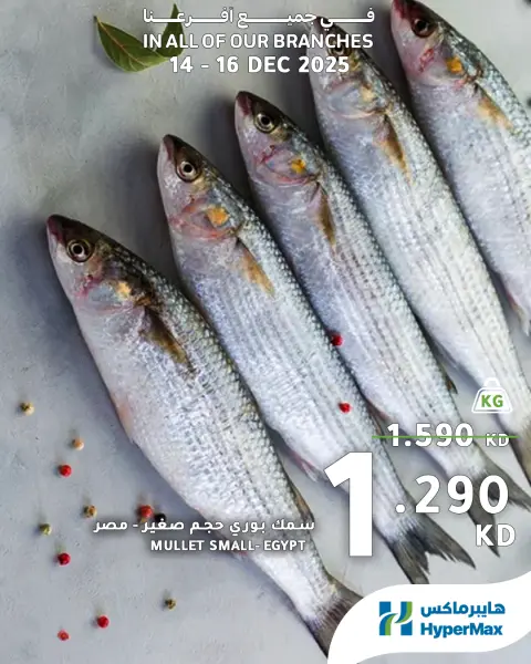 HyperMax Kuwait Offers from 14 to 16 December 2025 Fresh Food Deals - Page 1