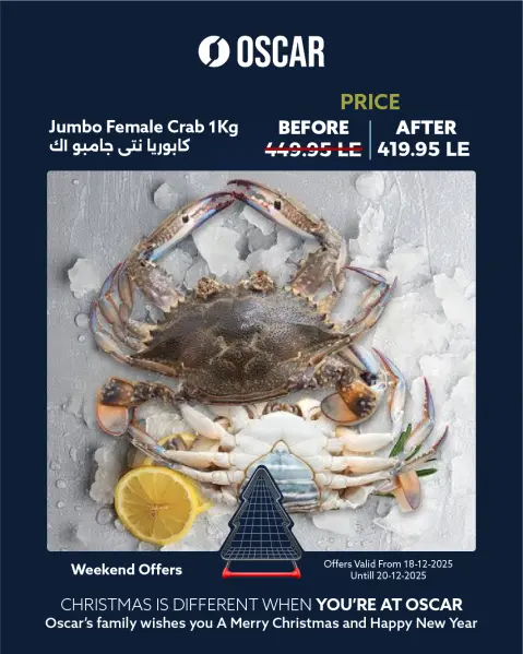Oscar Grand Stores Egypt Offers from 18 to 20 December 2025 Weekend Deals - Page 9