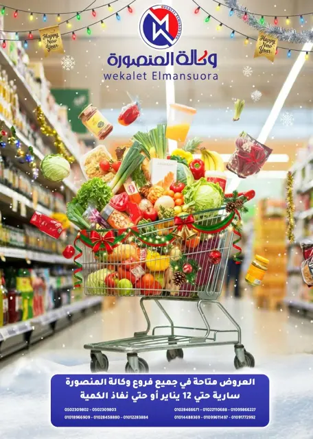 Wekalet Elmansoura Egypt Offers from 15 December to 12 January 2026 Winter Deals - Page 1