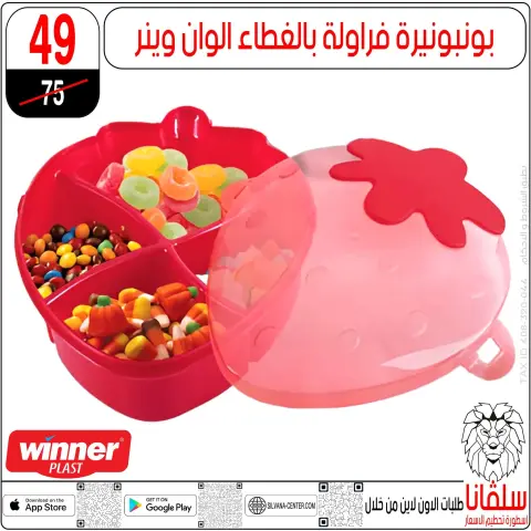silvana center Egypt Offers from 23 to 29 December 2025 End of Year offer - Page 61