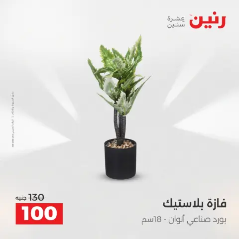 Raneen Egypt Offers from 23 to 24 December 2025 Decorative pieces offers - Page 34