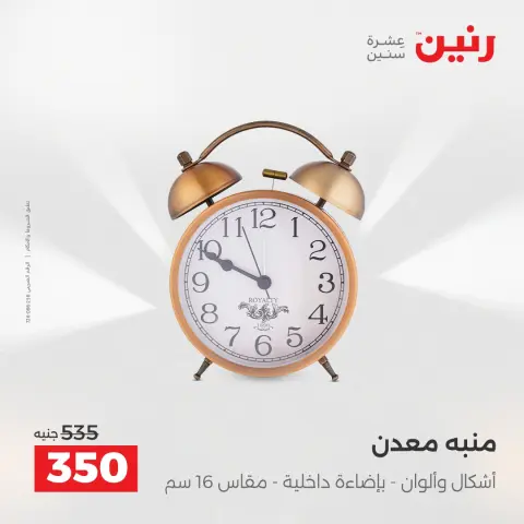 Raneen Egypt Offers from 23 to 24 December 2025 Decorative pieces offers - Page 14