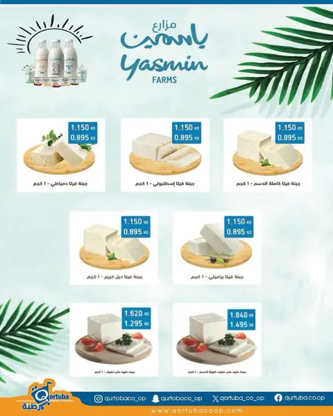 Qortuba co-op Kuwait Offers from 23 to 25 December 2025 Central Market Festival Offers - Page 5