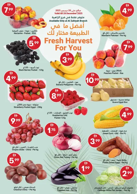 Ofertas de Gran Mercado Omartz  Abu Dhabi  de 24 diciembre a 4 enero Disfrute de ofertas de ahorro - Página 16