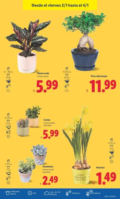 Ofertas de Lidl España de 29 diciembre a 4 enero 2026 ofertas semanales - Página 33