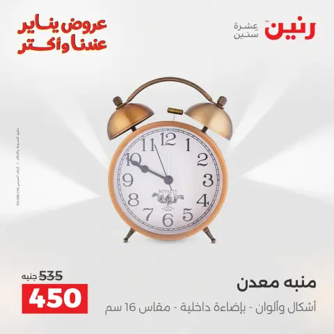 Raneen Egypt Offers from 28 to 29 December 2025 Decorative pieces offers - Page 17