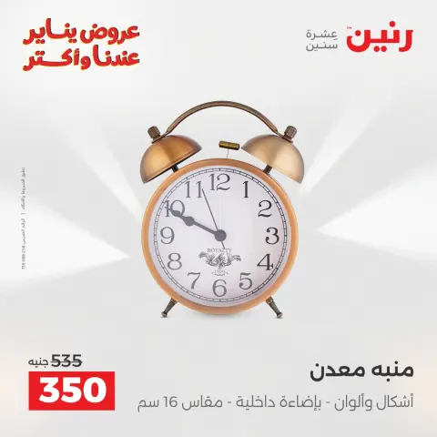 Raneen Egypt Offers from 30 to 31 December 2025 Decorative pieces offers - Page 14
