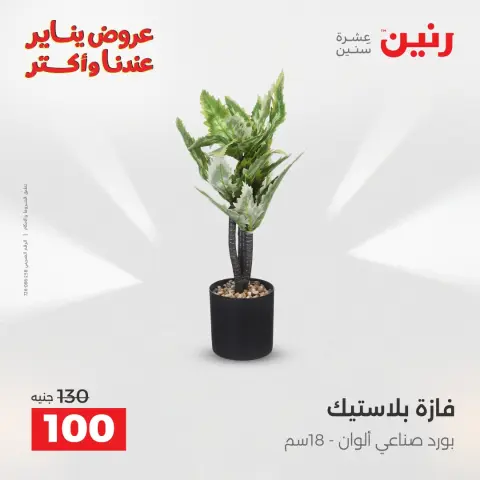 Raneen Egypt Offers from 30 to 31 December 2025 Decorative pieces offers - Page 33