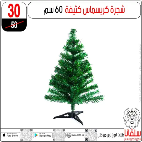 silvana center Egypt Offers from 30 December to 5 January 2026 End of Year offer - Page 13