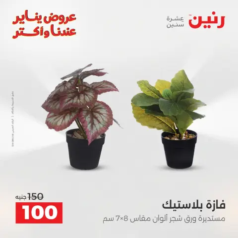 Raneen Egypt Offers from 1 to 3 January 2026 Decorative pieces offers - Page 39