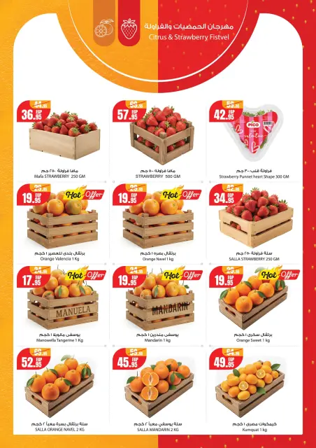Geant Egypt Offers from 1 to 7 January 2026 Happy New Year offers - Page 9