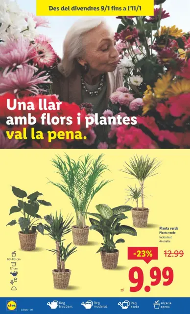 Ofertas de Lidl España de 5 a 11 enero 2026 Ofertas XXL - Página 32