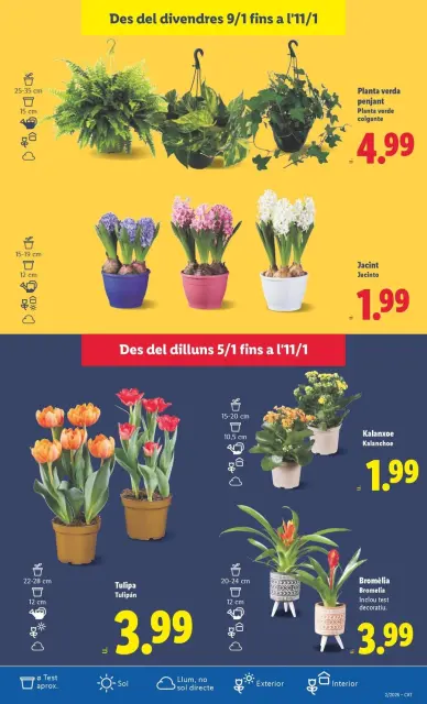 Ofertas de Lidl España de 5 a 11 enero 2026 Ofertas XXL - Página 33