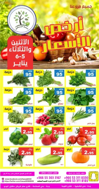 Hasad Albasatin Saudi Arabia Offers from 5 to 6 January 2026 Low Price - Page 4