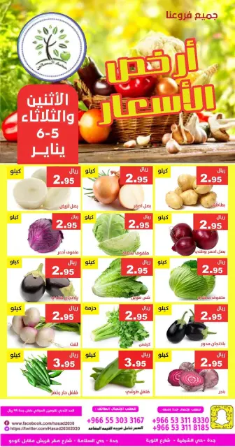 Hasad Albasatin Saudi Arabia Offers from 5 to 6 January 2026 Low Price - Page 3