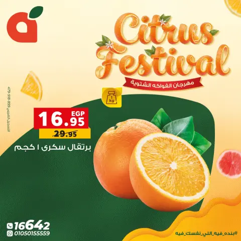 Panda Egypt Offers from 7 to 13 January 2026 Citrus Festival Offers - Page 4