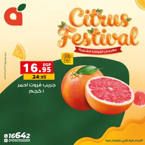 Panda Egypt Offers from 7 to 13 January 2026 Citrus Festival Offers - Page 17