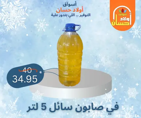Hassan Sons Markets Egypt Offers from 7 to 16 January 2026 Winter Deals - Page 31