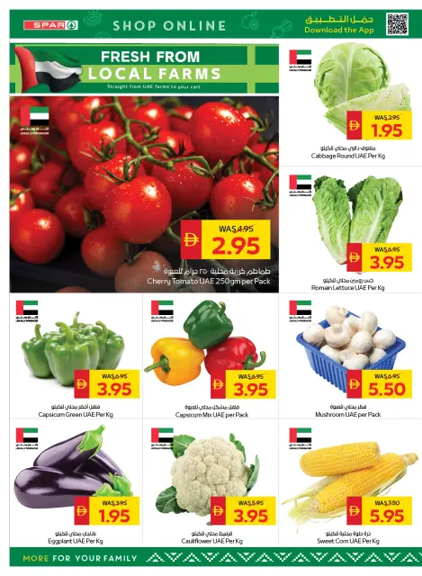 Ofertas de SPAR Emiratos Árabes Unidos de 8 a 14 enero 2026 Ofertas de regreso a clases - Página 8
