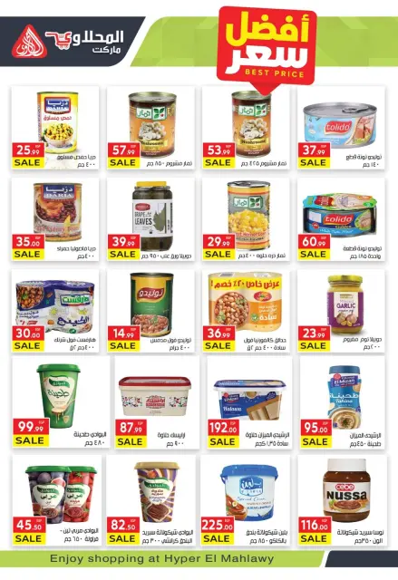 El Mahlawy market Egypt Offers from 12 to 26 January 2026 Ramadan Kareem Offers - Page 15