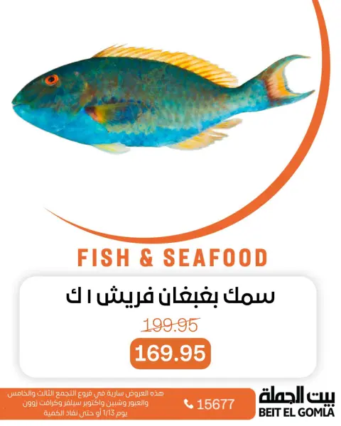 Gomla House Egypt Offers Tuesday 13 January Seafood Deals - Page 10