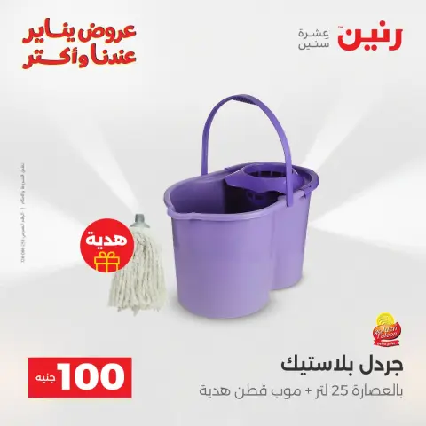 Raneen Egypt Offers from 13 to 14 January 2026 The 100 EGP Offer - Page 43