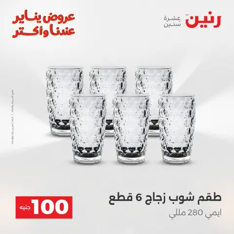 Raneen Egypt Offers from 13 to 14 January 2026 The 100 EGP Offer - Page 35
