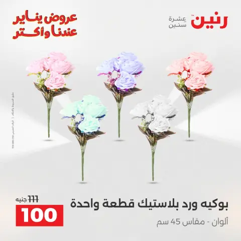 عروض رنين مصر من 13 حتى 14 يناير 2026 عروض قطع الديكور - صفحة 40