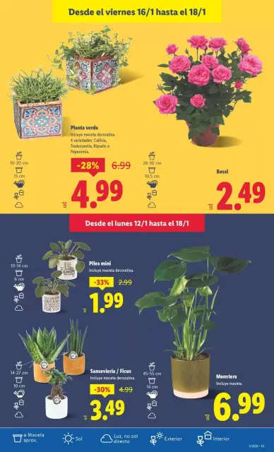 Ofertas de Lidl España de 12 a 18 enero 2026 Ofertas XXL - Página 31