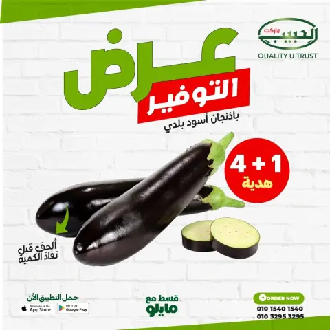 Al Habeeb Market Egypt Offers from 14 to 19 January 2026 Savings offer - Page 1