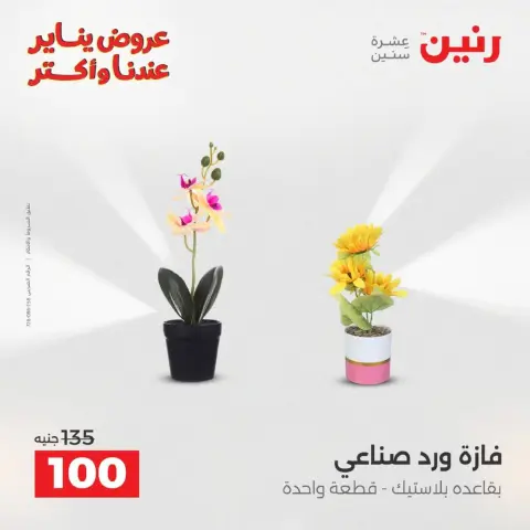 عروض رنين مصر من 18 حتى 19 يناير 2026 عروض الهدايا والديكورات - صفحة 30