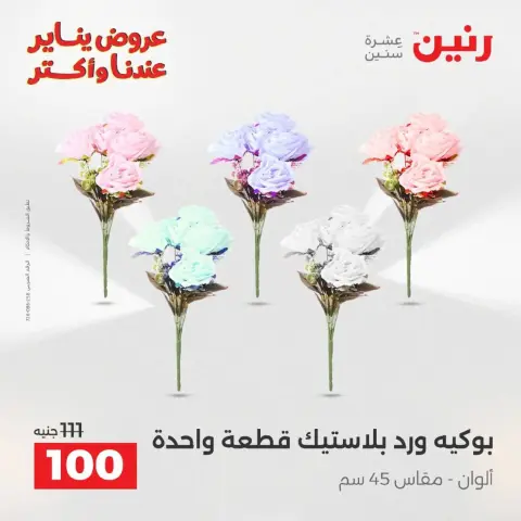 عروض رنين مصر من 18 حتى 19 يناير 2026 عروض الهدايا والديكورات - صفحة 32
