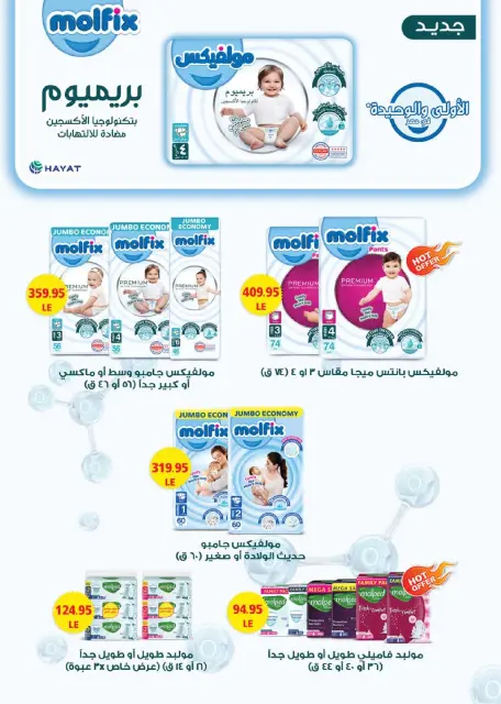 Seoudi Market Egypt Offers from 14 January to 1 February 2026 Winter Deals - Page 39