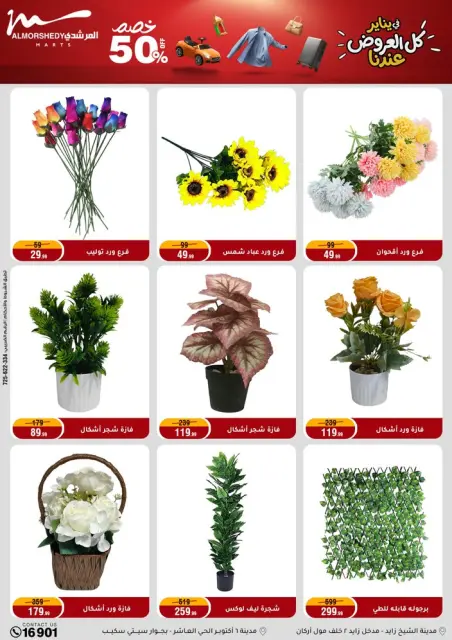 Ofertas de Al Morshedy Egipto de 22 a 25 enero 2026 Ofertas de ahorro de enero - Página 72