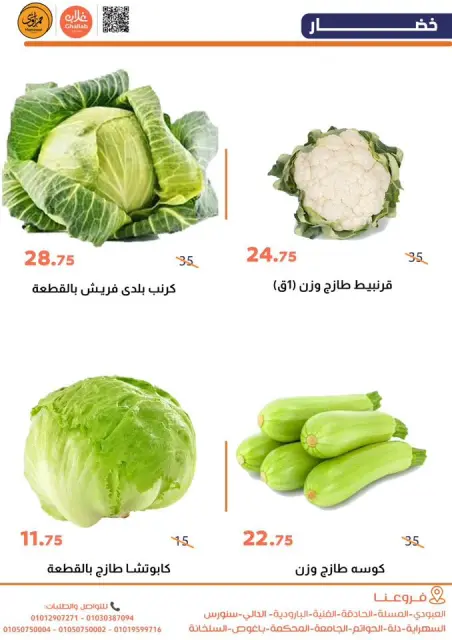 Offres Marchés de Ghallab Egypte de 24 à 26 janvier 2026 Offres de fruits et légumes - Page 7