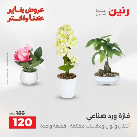Ofertas de Raneen Egipto de 27 a 28 enero 2026 Ofertas de piezas decorativas - Página 35