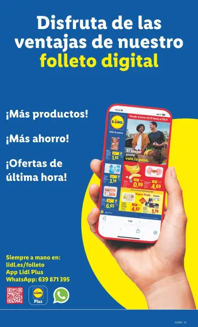 Ofertas de Lidl España de 2 a 8 febrero 2026 Ofertas de bazar - Página 29