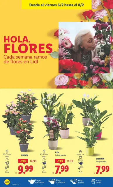 Ofertas de Lidl España de 2 a 8 febrero 2026 ofertas semanales - Página 35