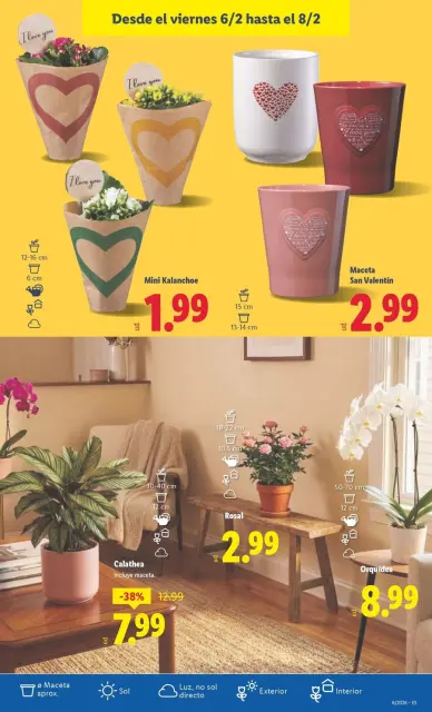 Ofertas de Lidl España de 2 a 8 febrero 2026 ofertas semanales - Página 36