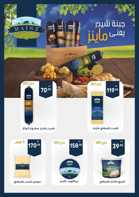 Gizawy Market Egypt Offers from 29 January to 4 February 2026 Ramadan Kareem Offers - Page 9