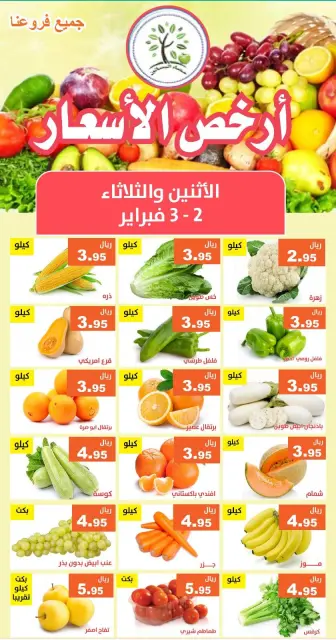 عروض حصاد البساتين السعودية من 2 حتى 3 فبراير 2026 أرخص الأسعار - صفحة 1