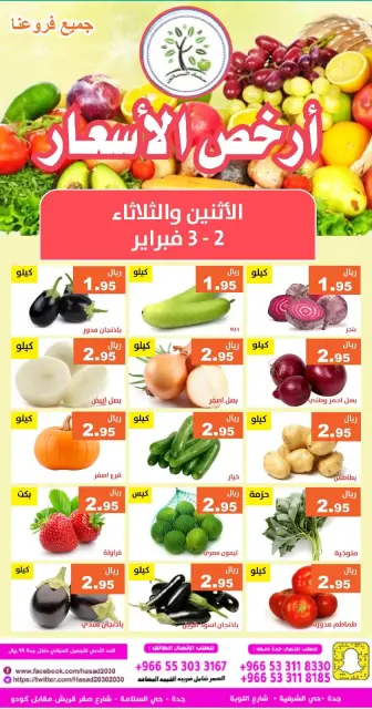 Hasad Albasatin Saudi Arabia Offers from 2 to 3 February 2026 Low Price - Page 3