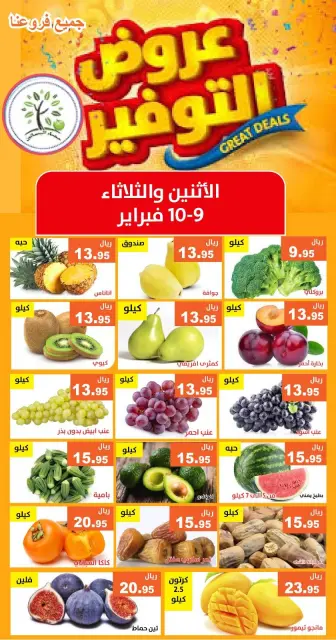عروض حصاد البساتين السعودية من 9 حتى 10 فبراير 2026 عروض التوفير - صفحة 1
