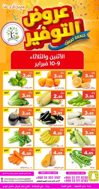 Hasad Albasatin Saudi Arabia Offers from 9 to 10 February 2026 Saving Deals - Page 4