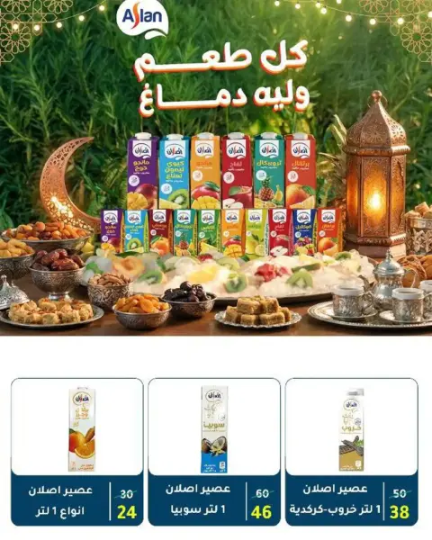 Wekalet Elmansoura Egypt Offers from 16 February to 10 March 2026 Ramadan Offers - Page 57