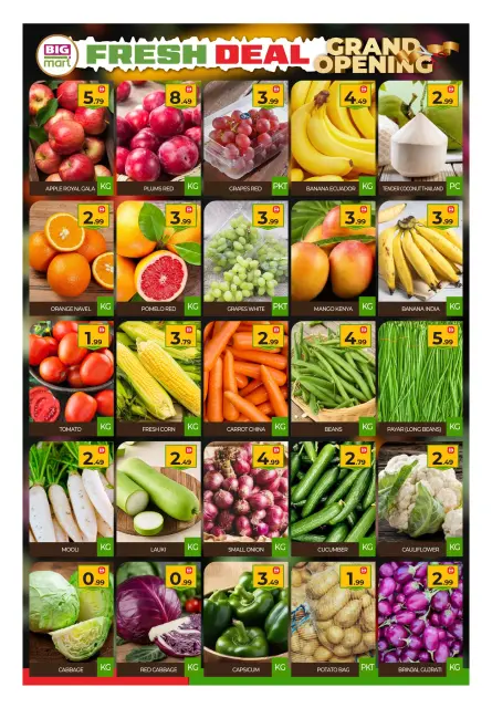 BIGmart  Abu Dhabi  Offers from 16 to 18 February Grand Opening Offers - Page 16
