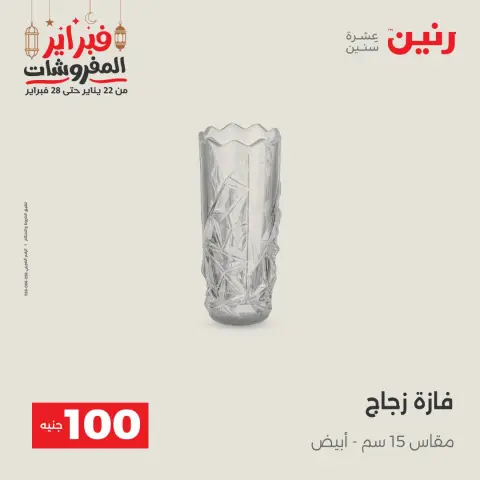 Raneen Egypt Offers from 24 to 25 February 2026 The 100 EGP Offer - Page 41
